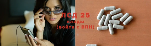 сатива Надым