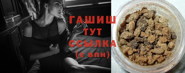 сатива Надым