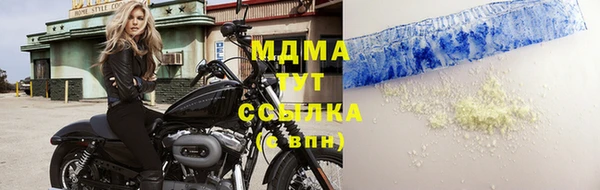сатива Надым
