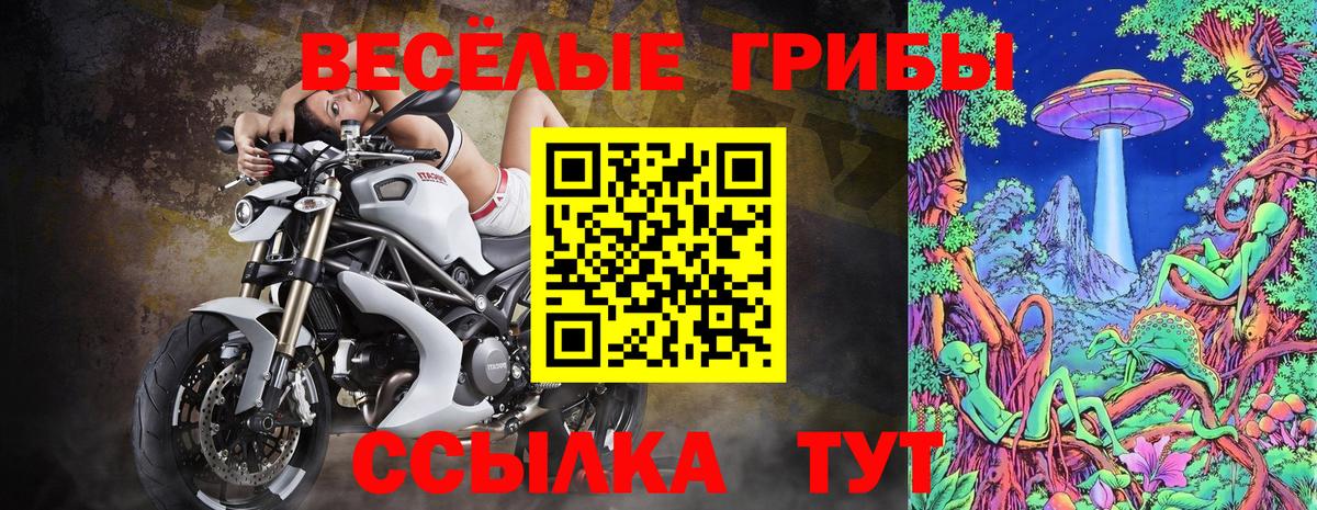Назрань  Псилоцибиновые грибы Psilocybine cubensis  Вход с VPN  Галлюциногенные грибы прущие грибы 