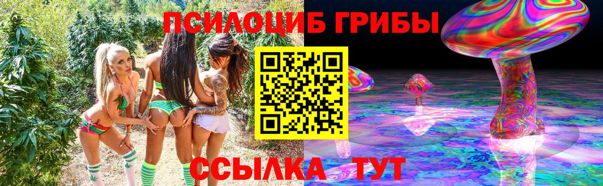 Псилоцибиновые грибы ЛСД  Назрань  Псилоцибиновые грибы Cubensis 