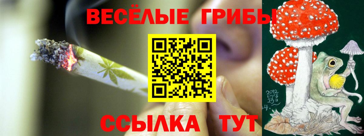 Псилоцибиновые грибы Cubensis Назрань