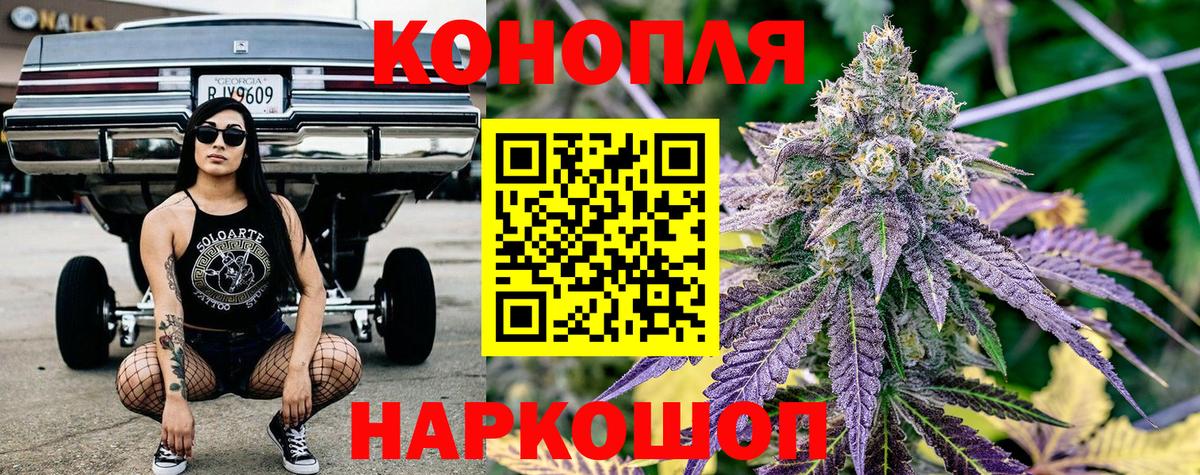 Шишки марихуана планчик Назрань